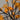 18" Pre-Lit Autumn Artificial Maple Fall Tree with 48 Warm White LED Maple Shaped Lights