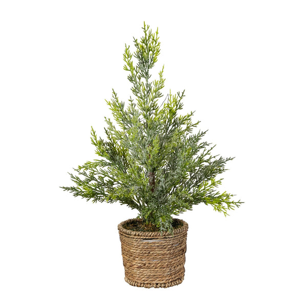 18” Pre-Lit Artificial Snowed Cypress Christmas Tree with 15 LED Lights in Hyacinth Basket