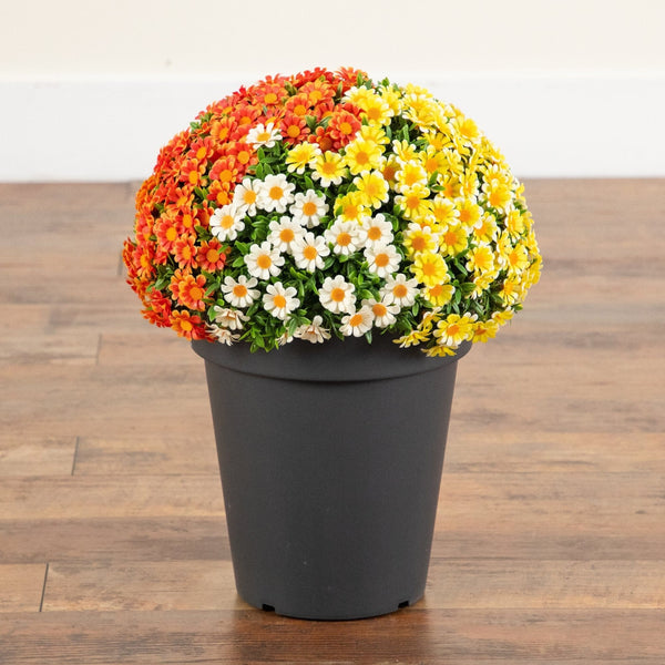 18” UV Resistant Autumn Artificial Fall Mixed Daisy Plant in Pot (Indoor/Outdoor)