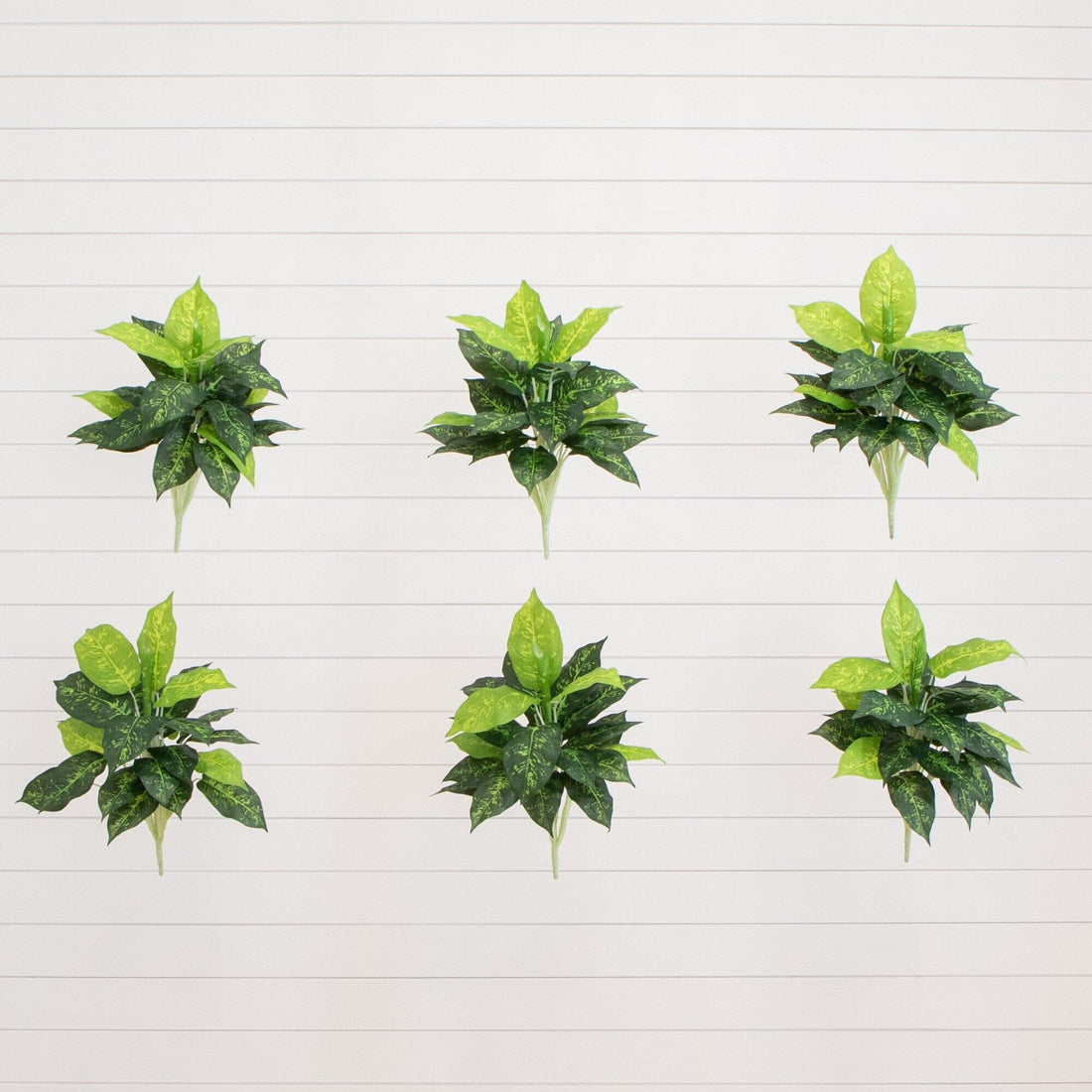 dieffenbachia paper 19” Artificial Dieffenbachia Plant