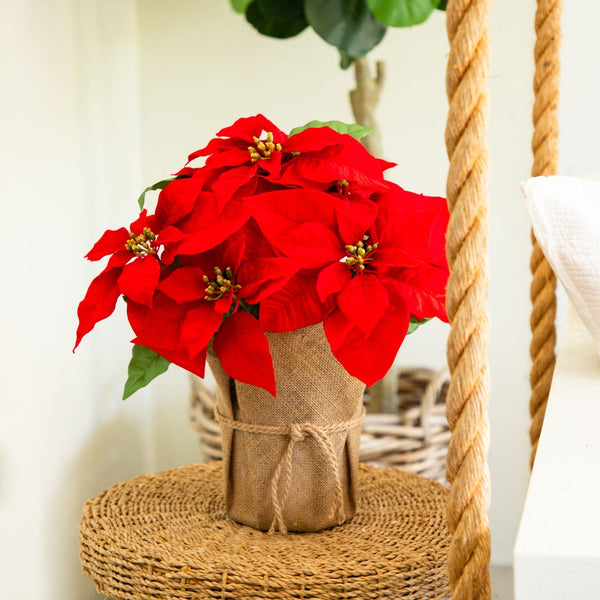19” Artificial Red Velvet Poinsettia Arrangement in Burlap Planter