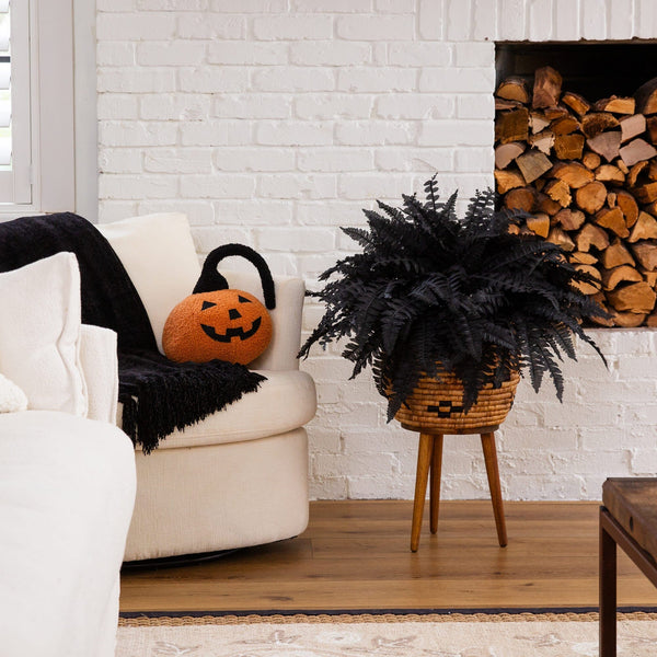 19" Artificial Halloween Black Boston Fern - Set of 6