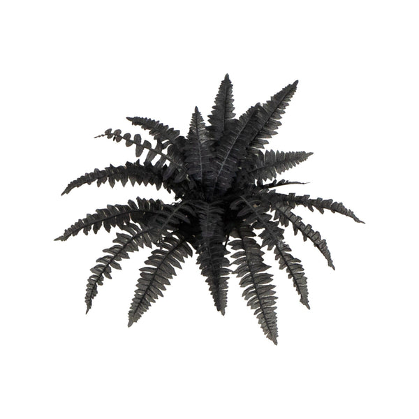 19" Artificial Halloween Black Boston Fern - Set of 6