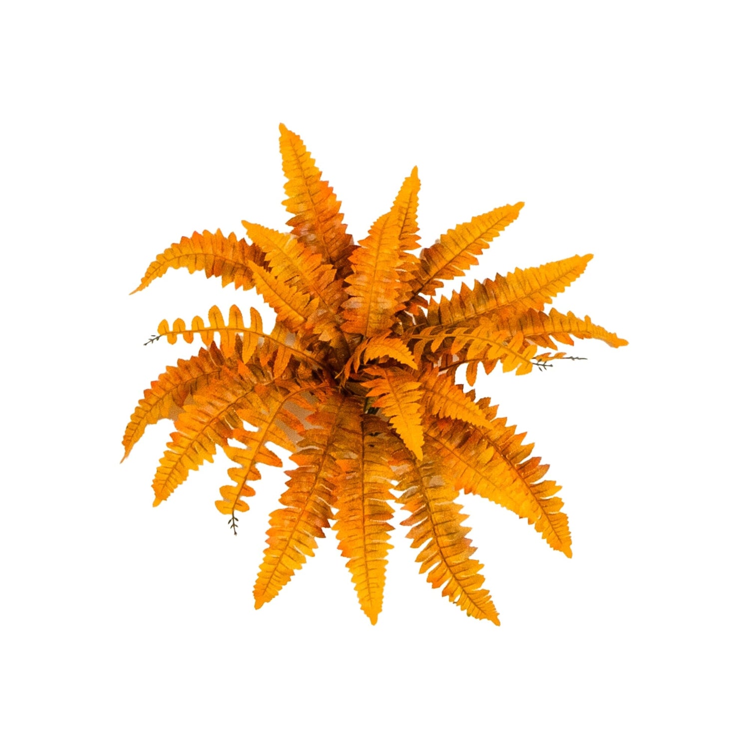 19" Autumn Artificial Fall Boston Fern - Set of 6