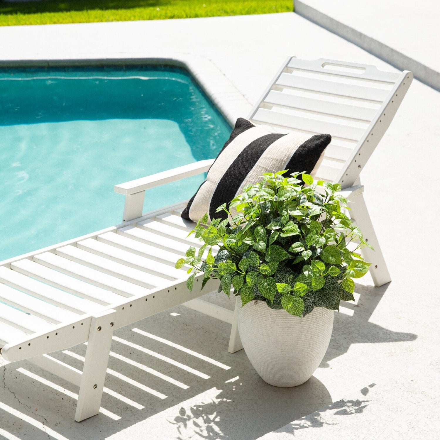 19" UV Resistant Artificial Fittonia Bush (Indoor/Outdoor) - Set of 3