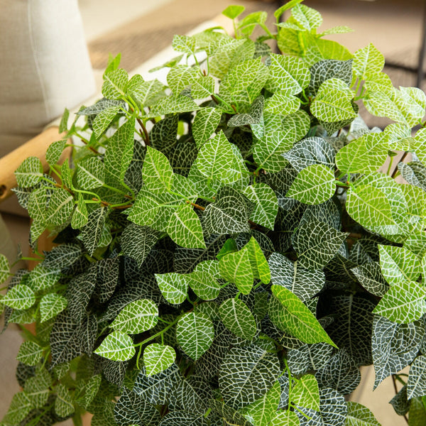 19" UV Resistant Artificial Fittonia Bush (Indoor/Outdoor) - Set of 3