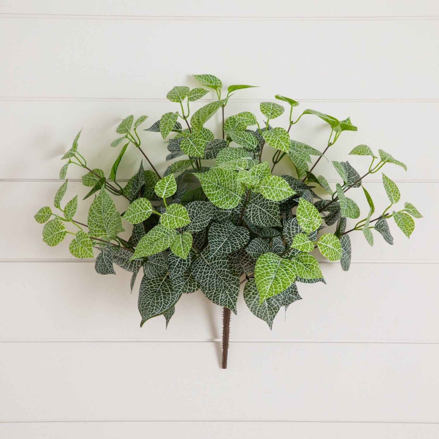 19" UV Resistant Artificial Fittonia Bush (Indoor/Outdoor) - Set of 3