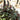 19" UV Resistant Artificial Wandering Jew Bush (Indoor/Outdoor)- Set of 3