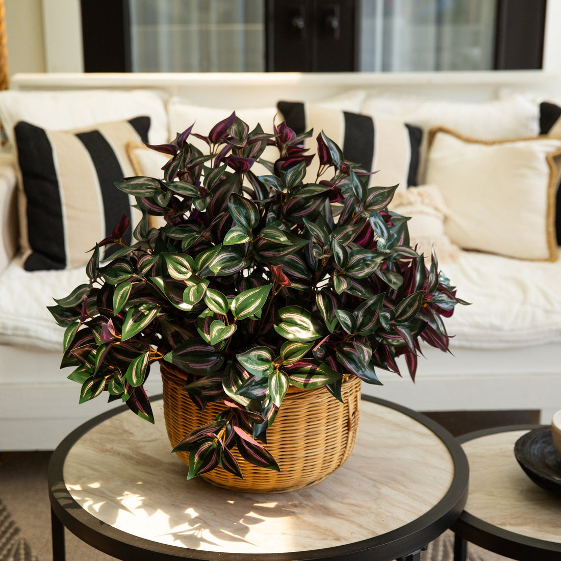 indoor plant wandering jew 19" UV Resistant Artificial Wandering Jew Bush (Indoor/Outdoor)- Set of 3