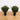2’ Artificial Cedar Bush (Indoor/Outdoor) - Set of 2