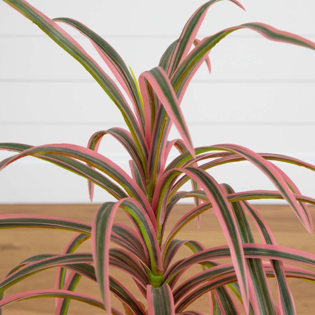 2' Artificial Dracaena Marginata Plant
