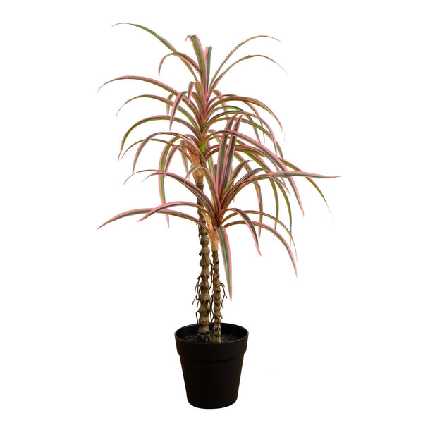 2’ Artificial Dracaena Marginata Plant