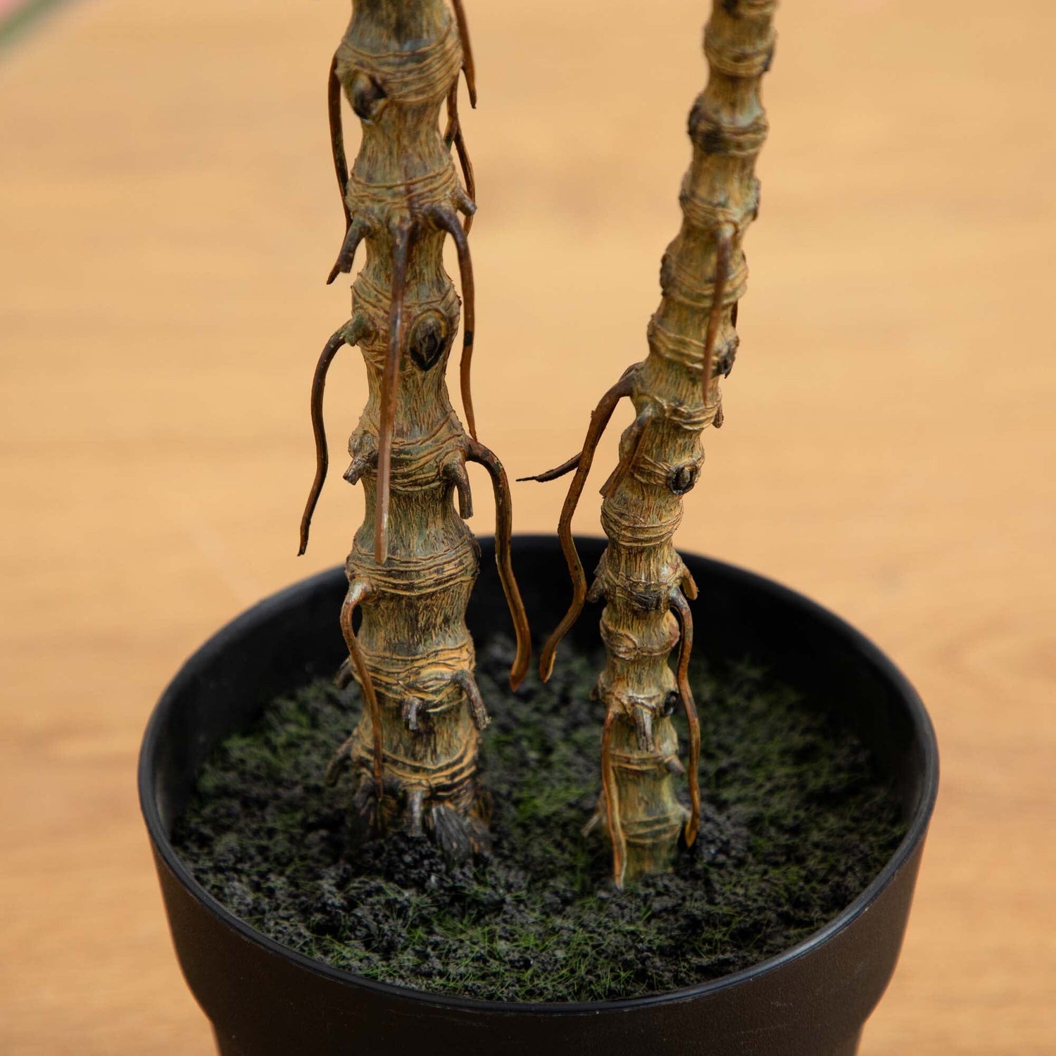 2’ Artificial Dracaena Marginata Plant
