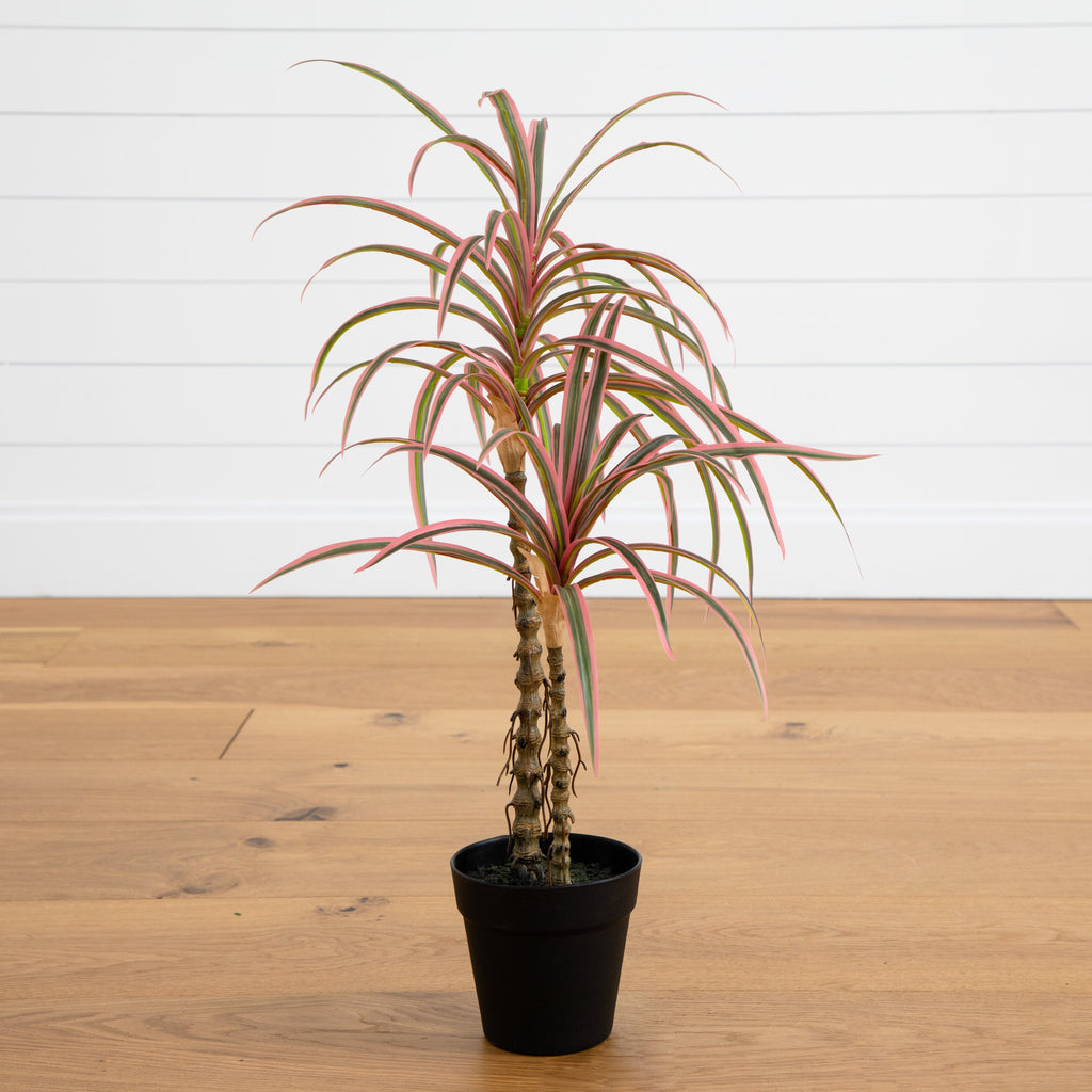 dracaena plant marginata Nearly Natural 2ft. Artificial Dracaena Marginata Plant
