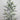 2' Artificial Frosted Christmas Tree in Black Decorative Urn