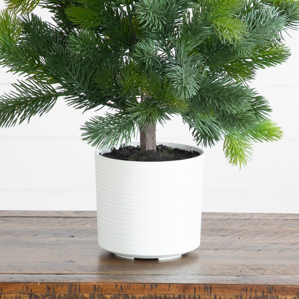 2' Artificial Real Touch Spruce Pine Christmas Tree in White Decorative Planter