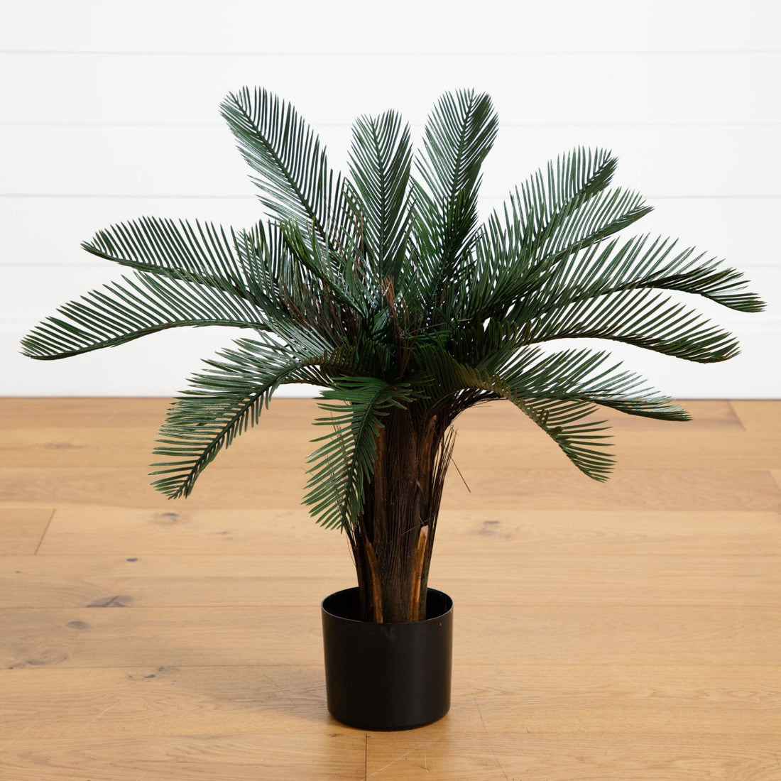 2' Cycas Artificial Tree UV Resistant (Indoor/Outdoor) | Nearly Natural