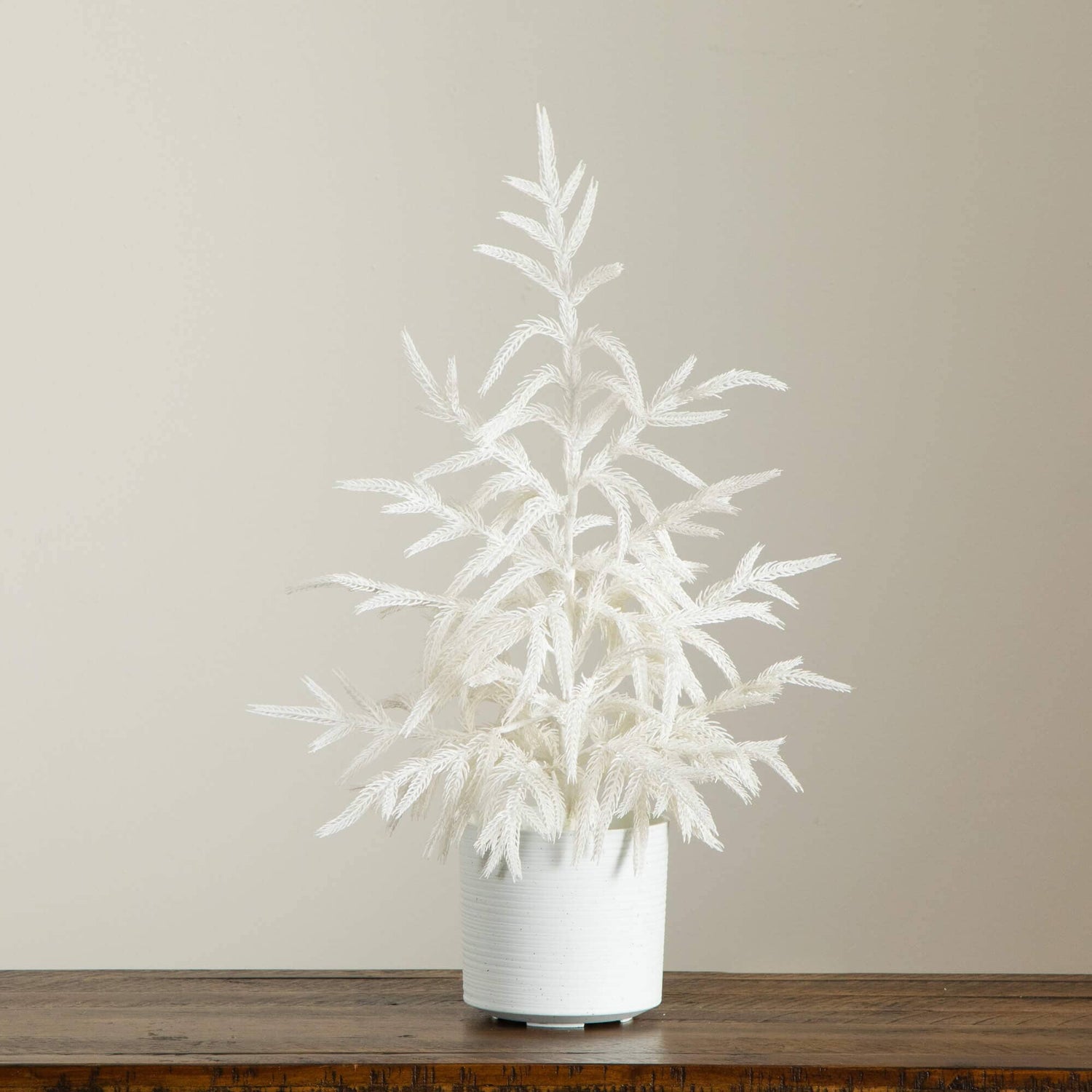 2' Artificial Real Touch White Norfolk Island Pine Christmas Tree with Natural Look