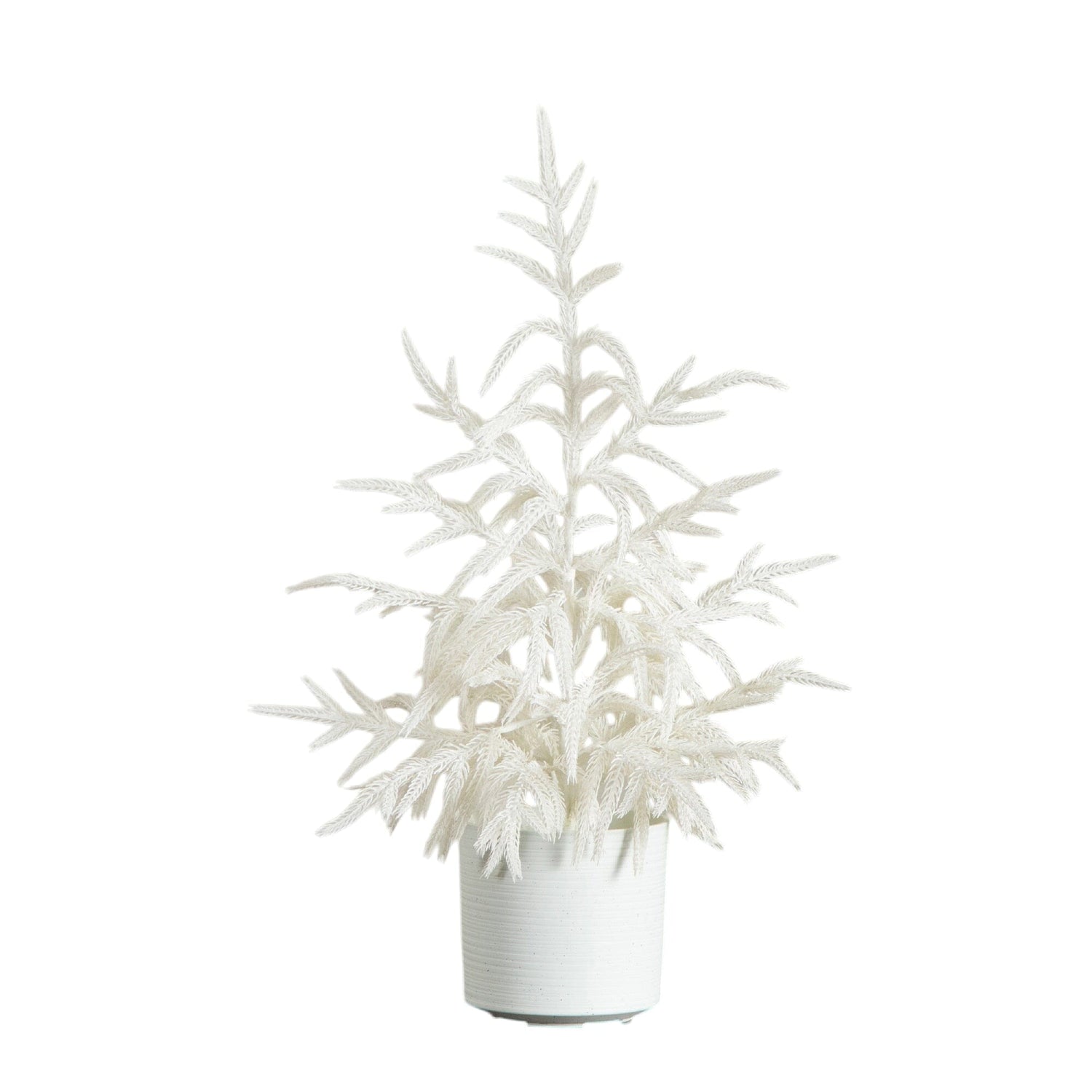 2' Artificial Real Touch White Norfolk Island Pine Christmas Tree with Natural Look