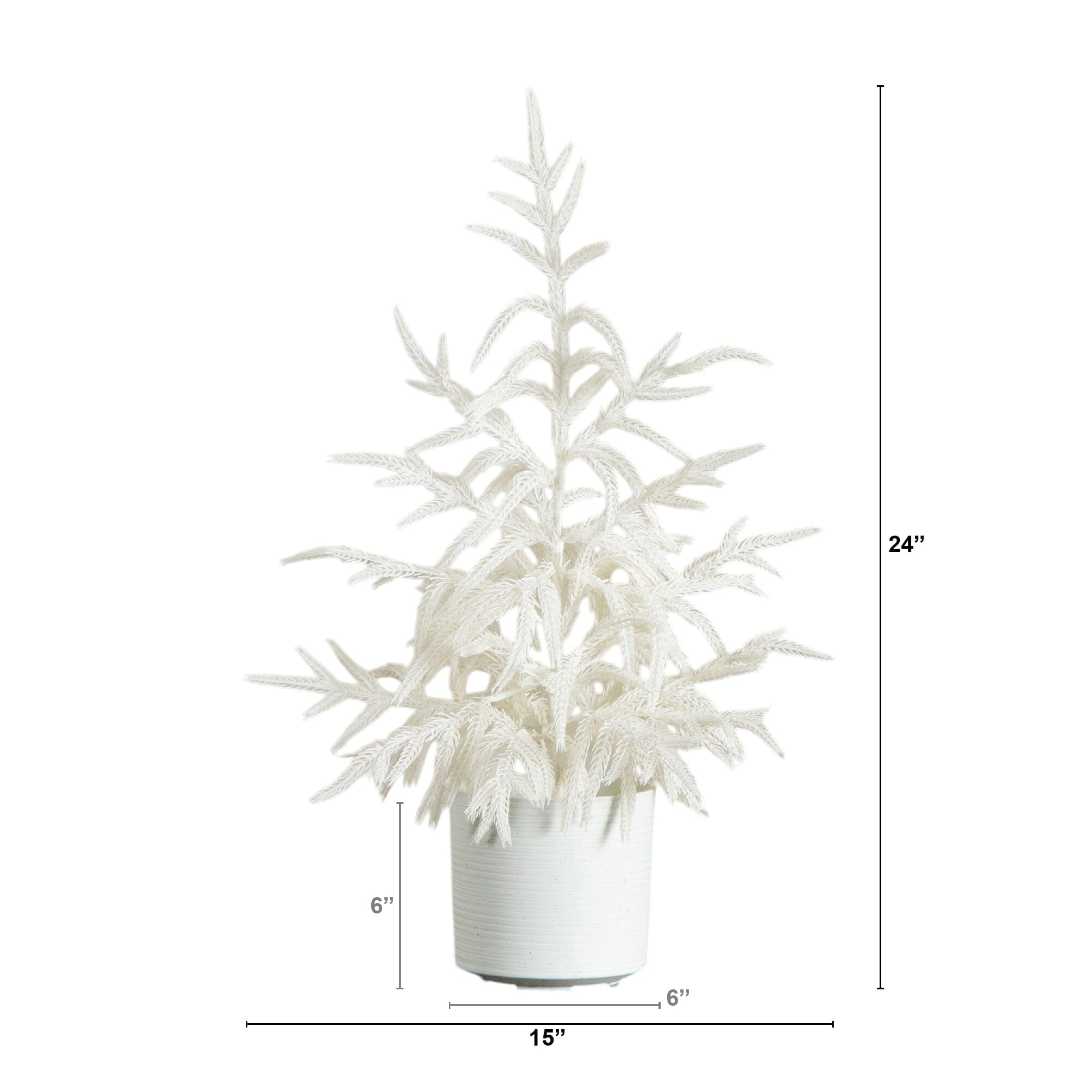 2' Artificial Real Touch White Norfolk Island Pine Christmas Tree