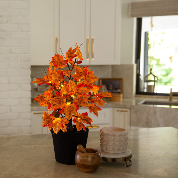 2' Pre-Lit Autumn Maple Artificial Fall Tree with Acorns & Pinecones and 18 Warm White LED Lights