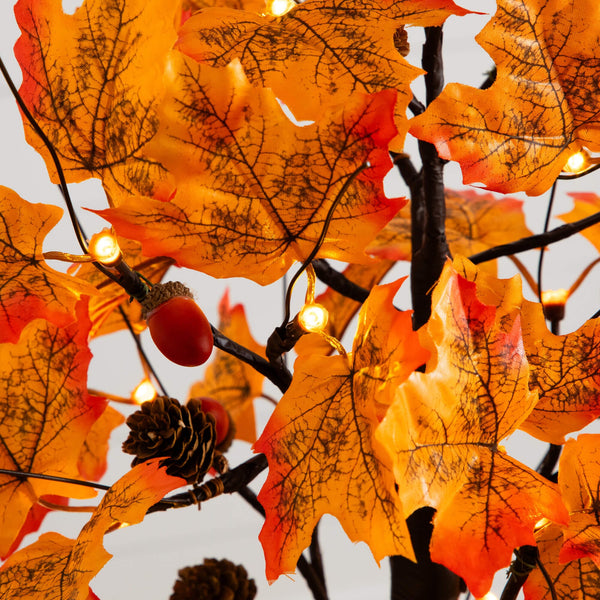 2' Pre-Lit Autumn Maple Artificial Fall Tree with Acorns & Pinecones and 18 Warm White LED Lights