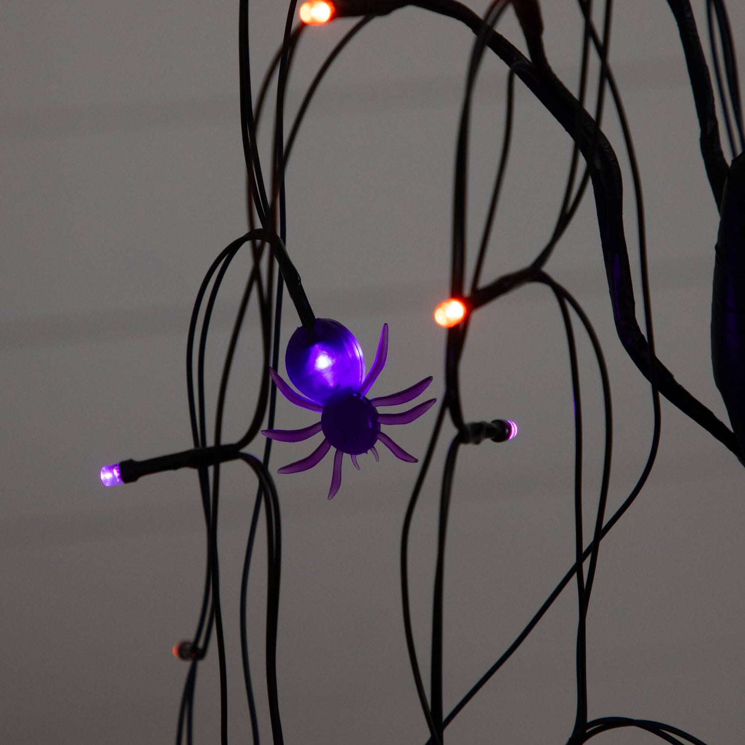 2' Pre-Lit Halloween Artificial Black Spooky Spider Willow Tree with 60 Orange & Purple LED Lights