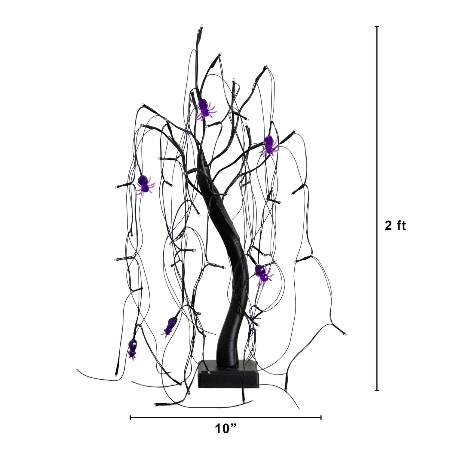2' Pre-Lit Halloween Artificial Black Spooky Spider Willow Tree with 60 Orange & Purple LED Lights