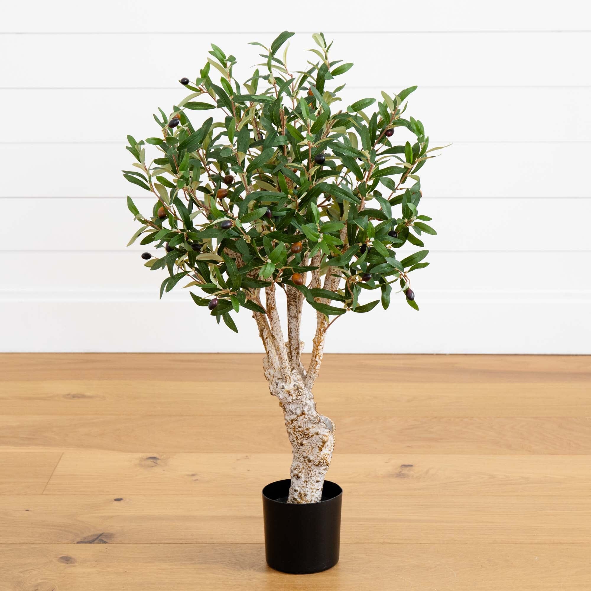 2' Olive Artificial Tree | Nearly Natural