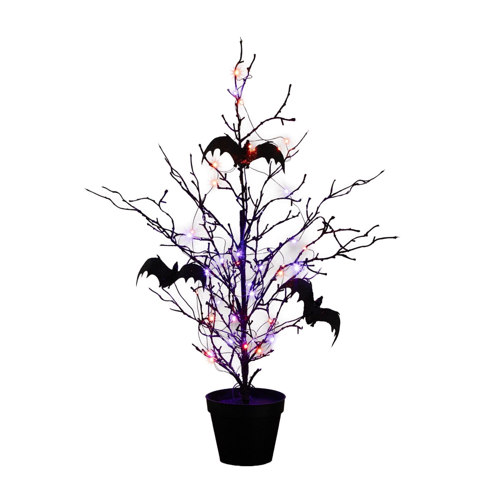 2' Pre-Lit Artificial Black Spooky Twig Tree with Bats and 40