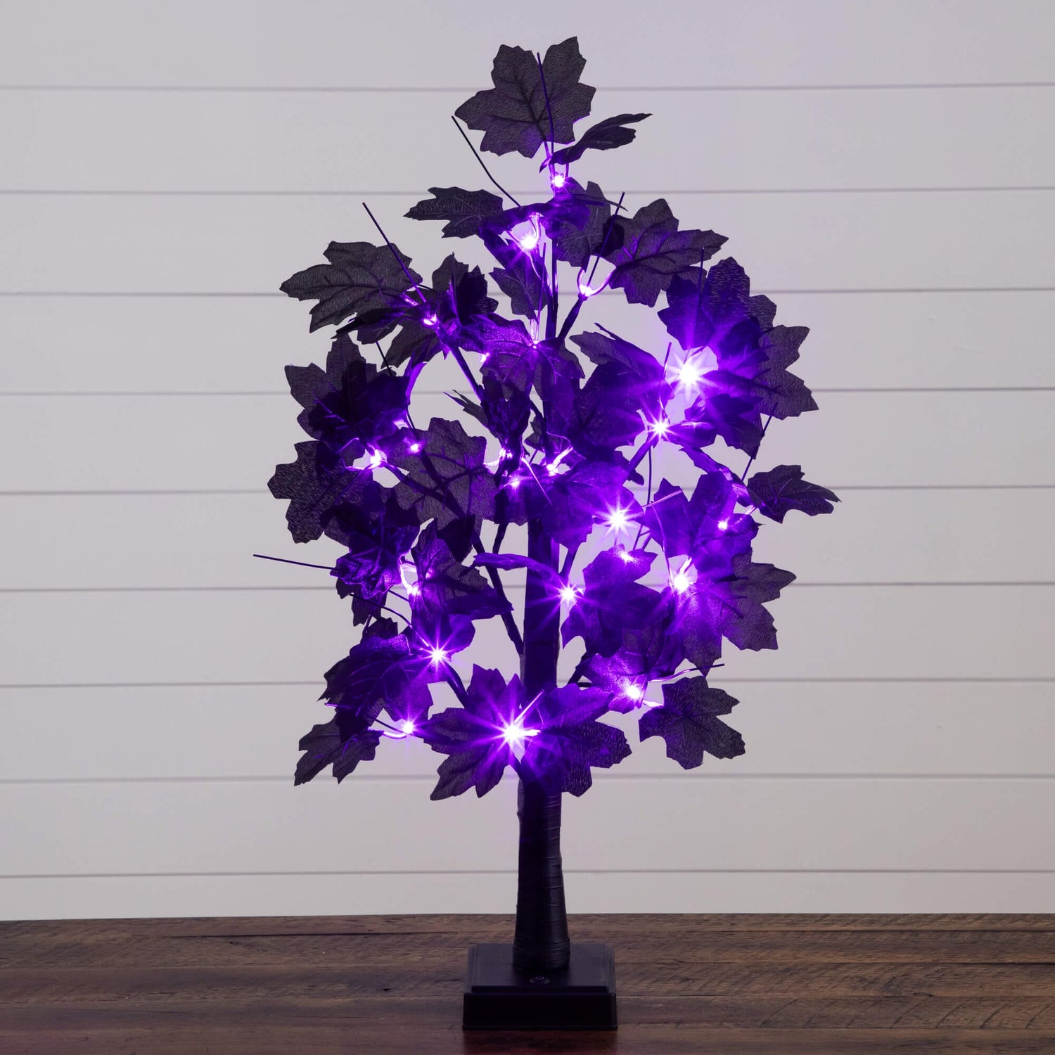 2' Pre-Lit Artificial Halloween Black Maple Tree with 24 Orange & Purple LED Lights
