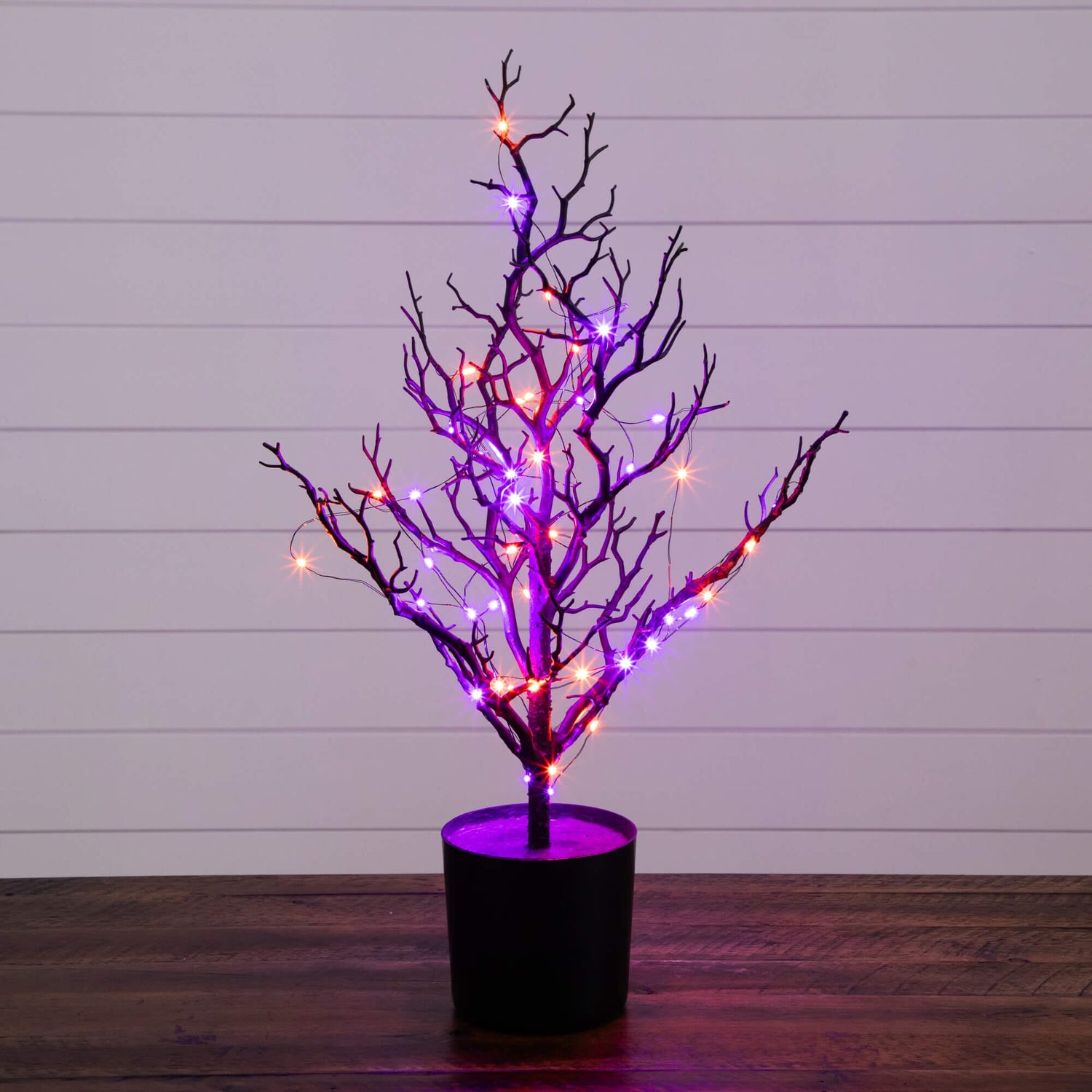 2' Pre-Lit Artificial Halloween Black Spooky Twig Tree with 60 Orange & Purple Copper Wire String LED Lights