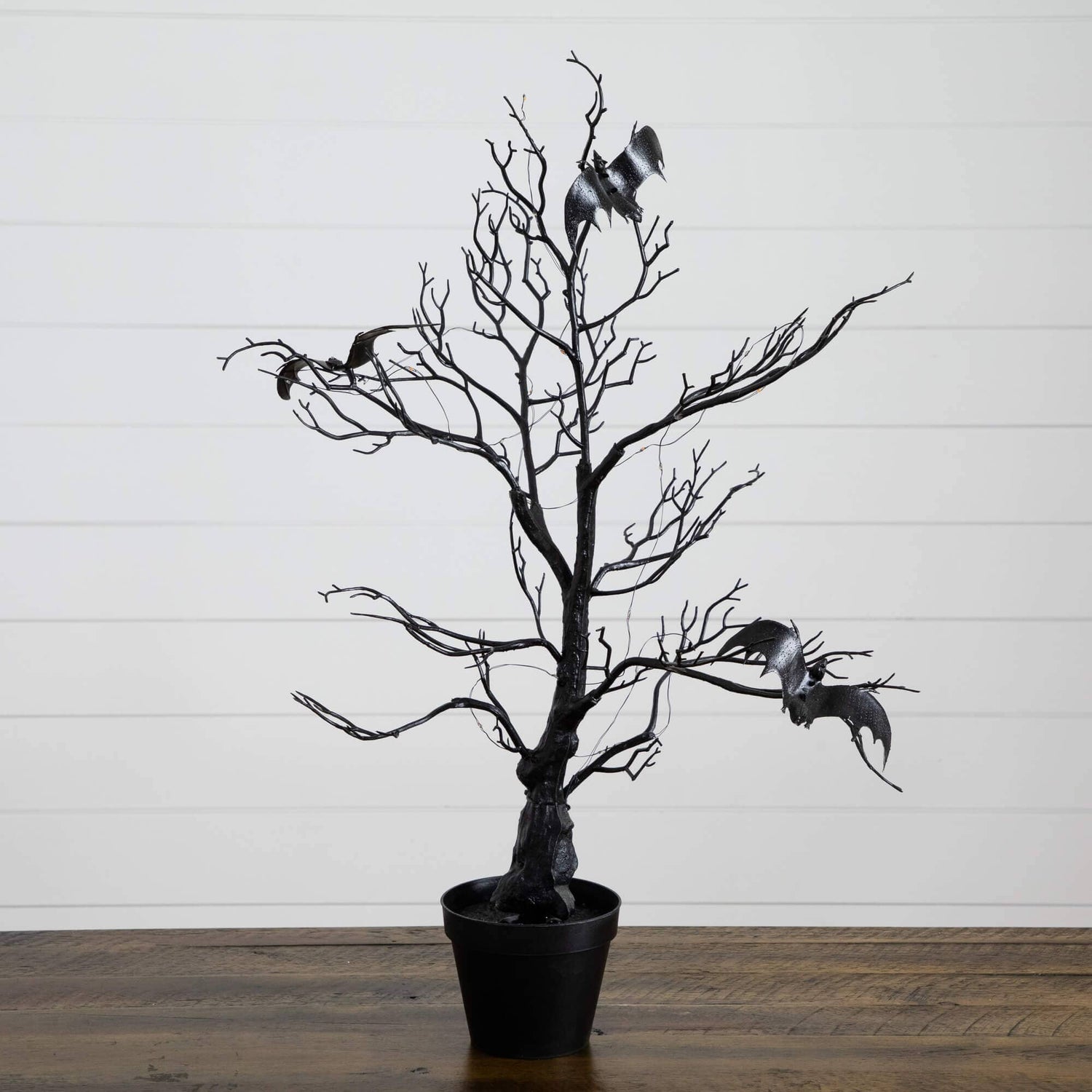 2' Pre-Lit Artificial Halloween Black Spooky Twig Tree with Bats and 40 Orange & Purple LED Lights