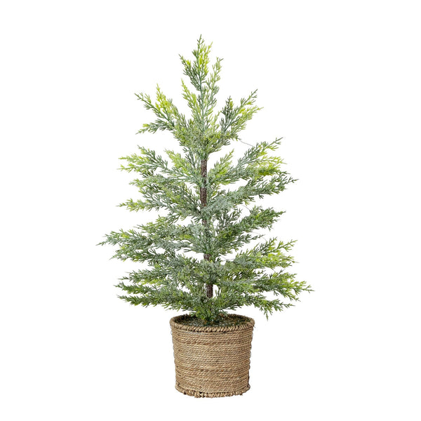 2’ Pre-Lit Artificial Snowed Cypress Christmas Tree with 30 LED Lights in Hyacinth Basket