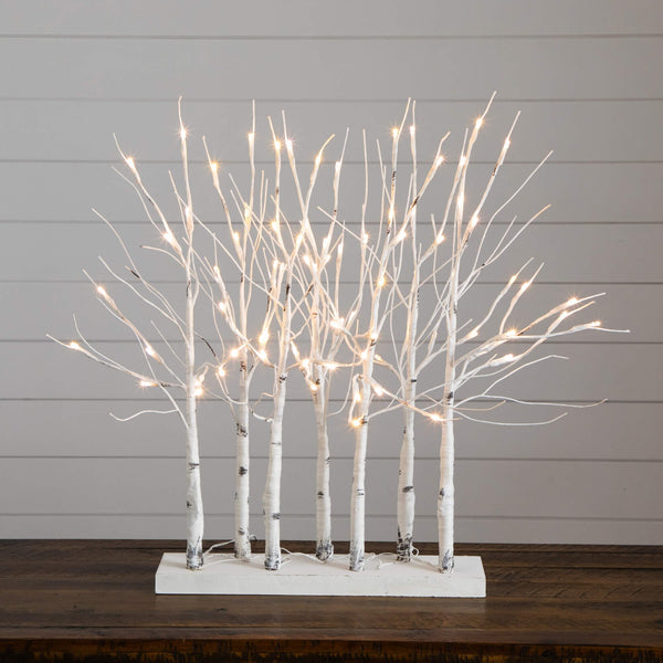 2' Pre-Lit Artificial White Birch Centerpiece with 84 LED Lights