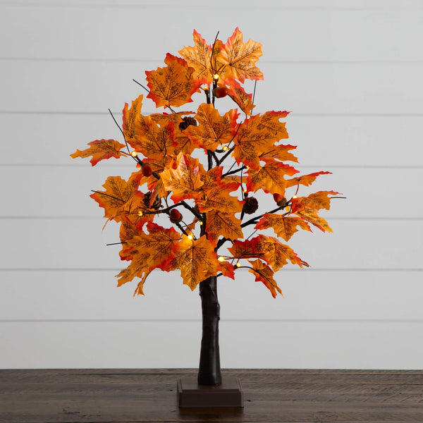 2' Pre-Lit Autumn Maple Artificial Fall Tree with Acorns & Pinecones and 18 Warm White LED Lights