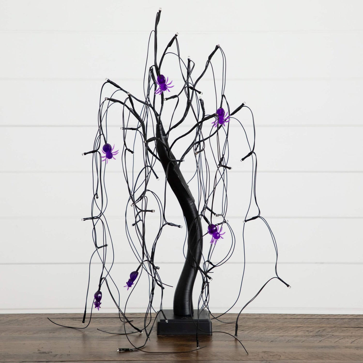 2' Pre-Lit Halloween Artificial Black Spooky Spider Willow Tree with 60 Orange & Purple LED Lights