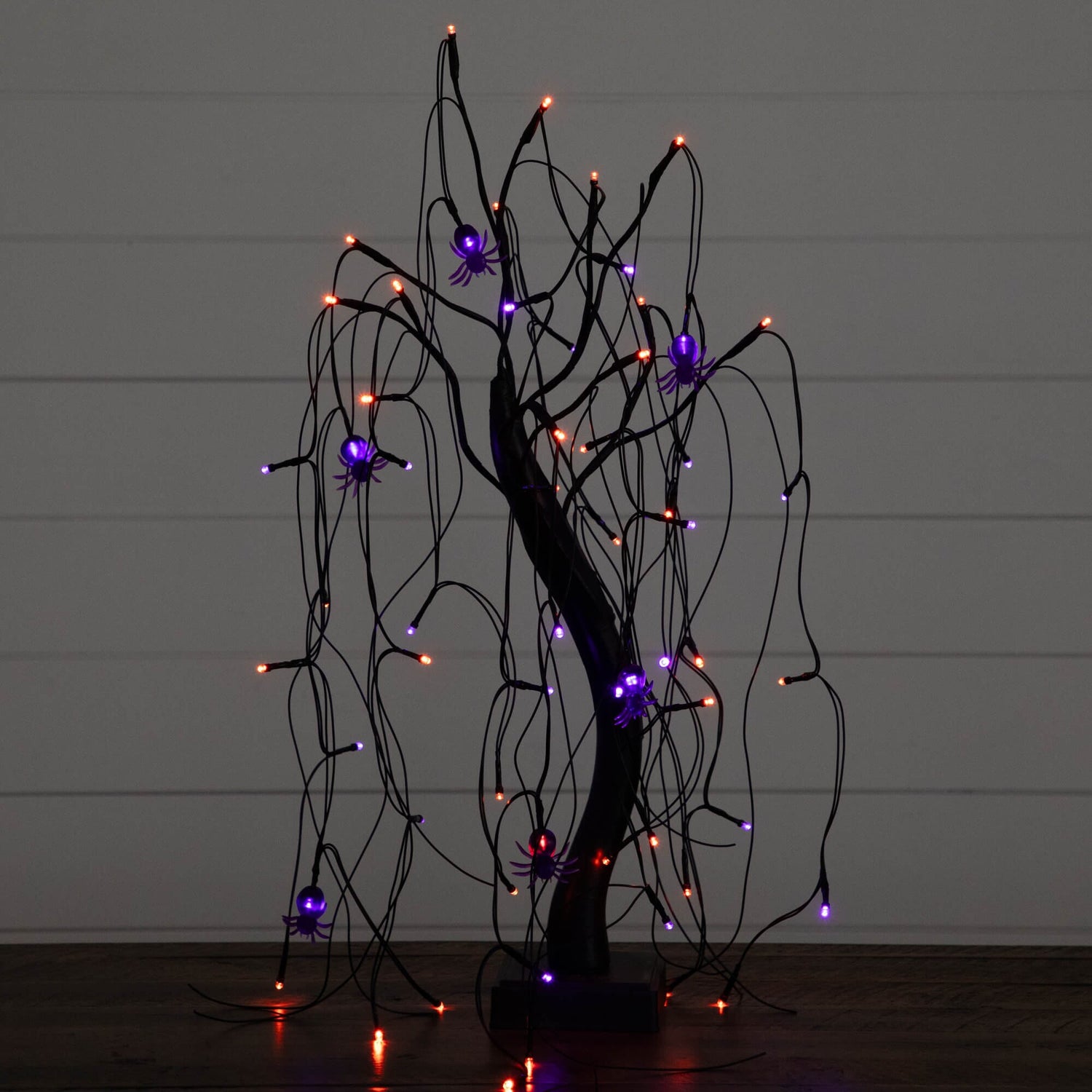 2' Pre-Lit Halloween Artificial Black Spooky Spider Willow Tree with 60 Orange & Purple LED Lights