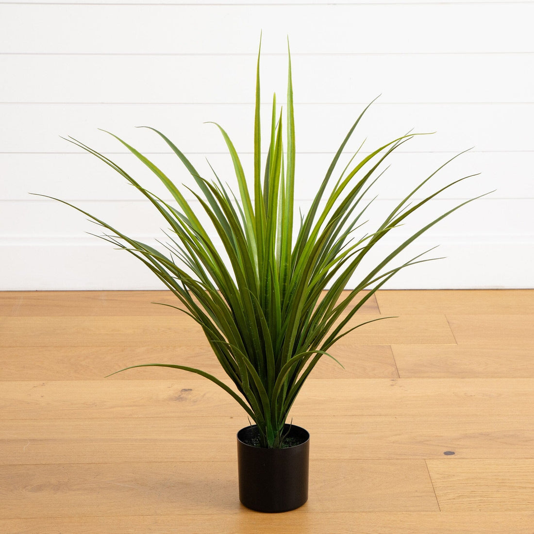 grass looking indoor plant 2' UV Resistant Artificial Grass Plant (Indoor/Outdoor)
