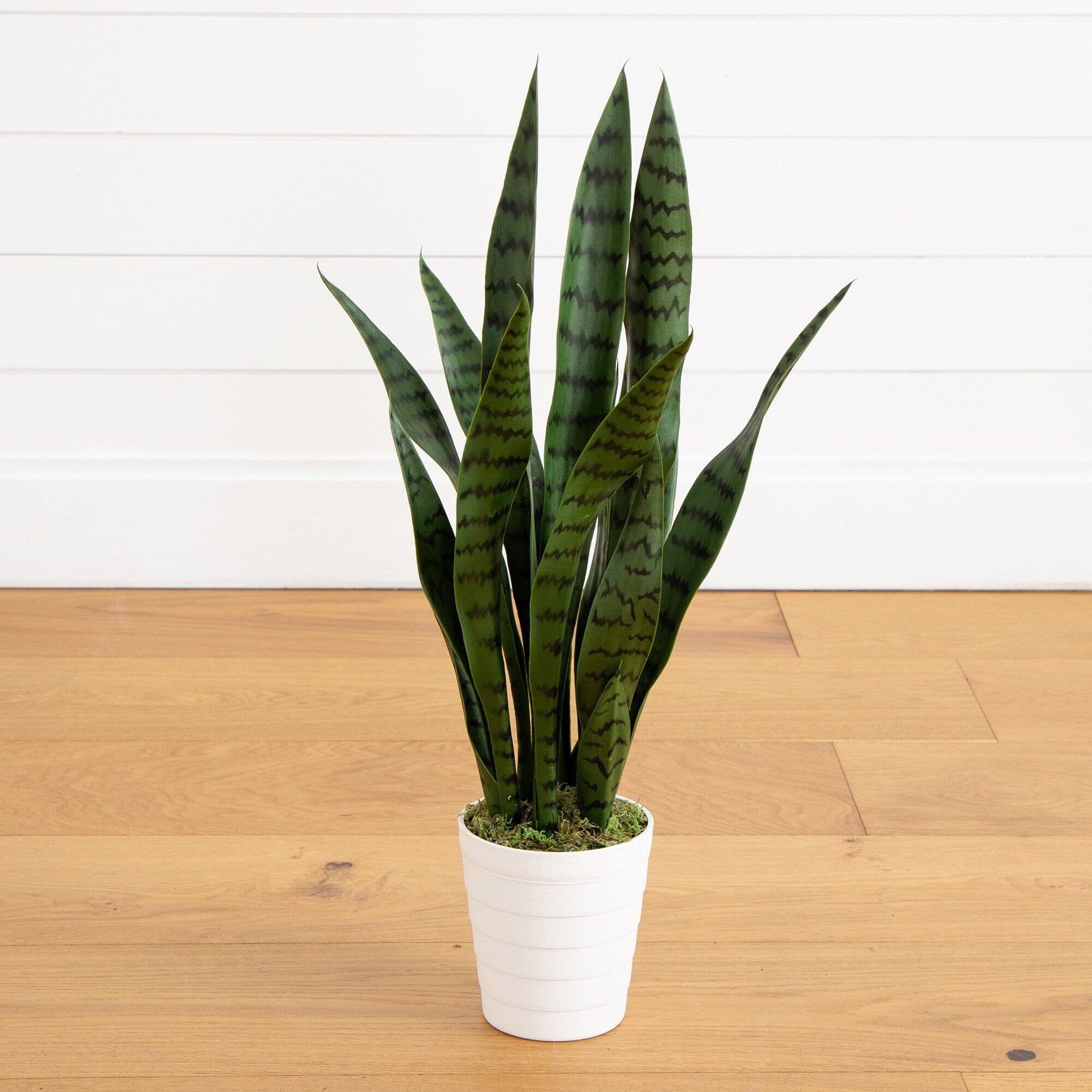 2' UV Resistant Artificial Sansevieria Plant in White Decorative