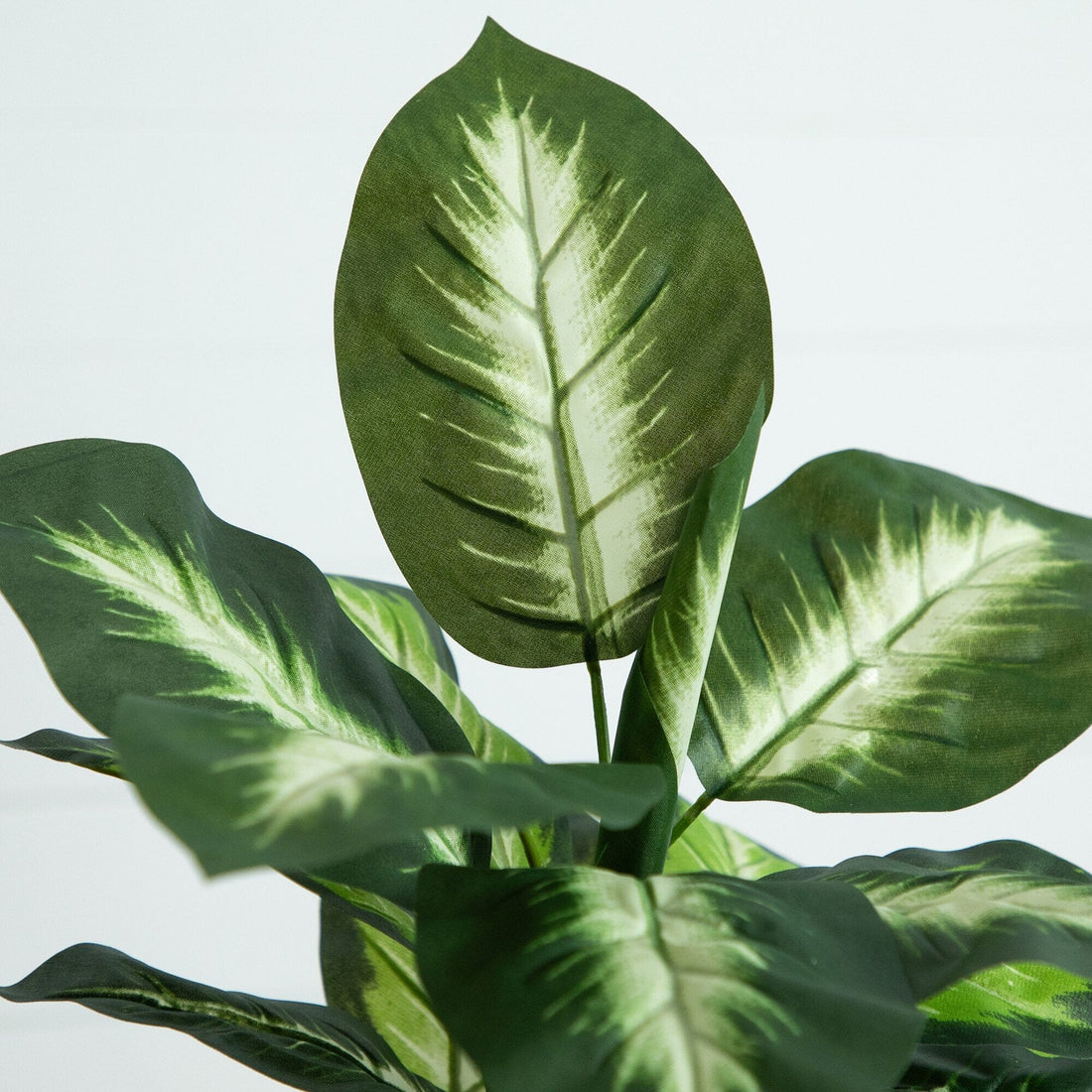 6731 golden dieffenbachia with decorative planter 20” Artificial Golden Dieffenbachia Plant - Set of 6