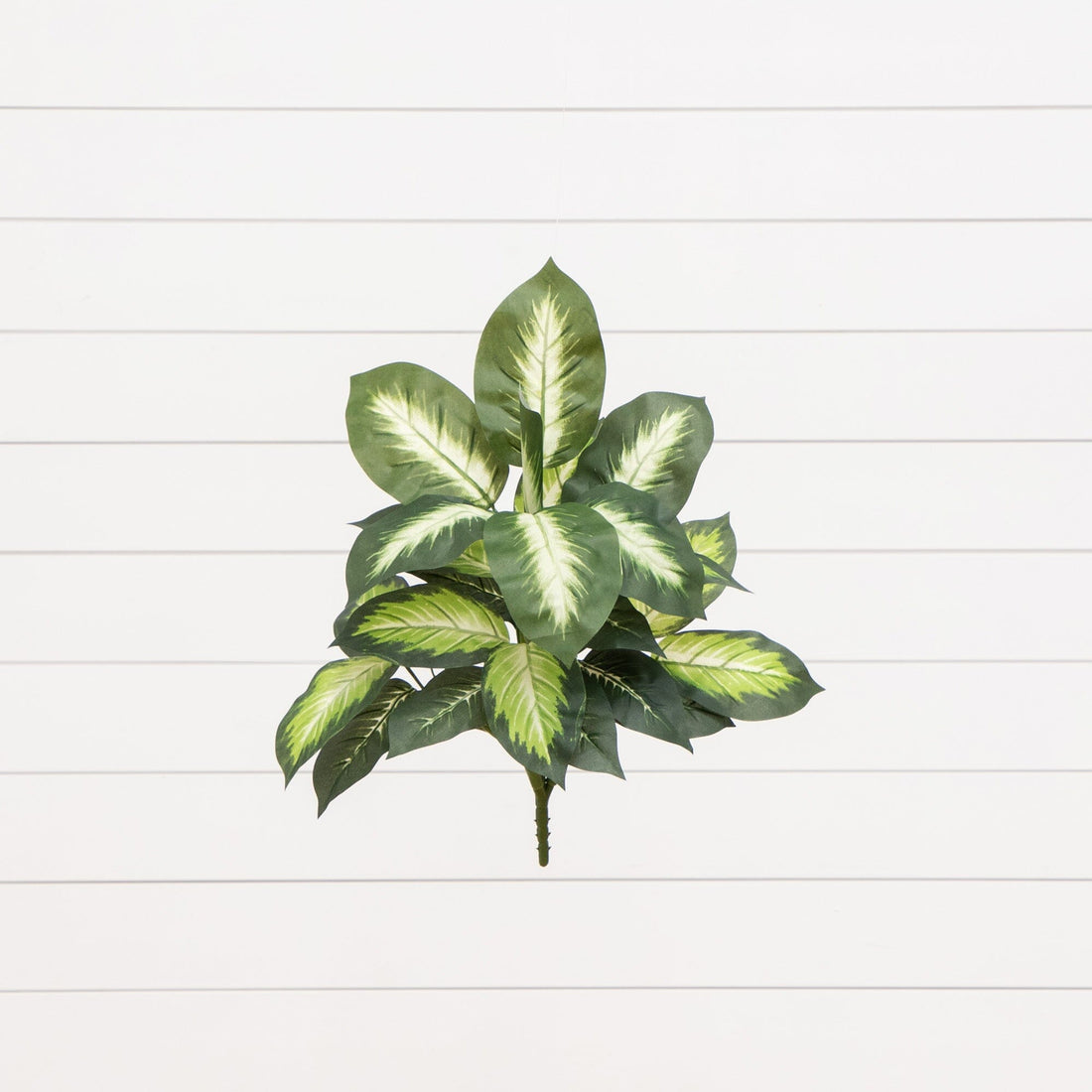dieffenbachia faux plant 20” Artificial Golden Dieffenbachia Plant