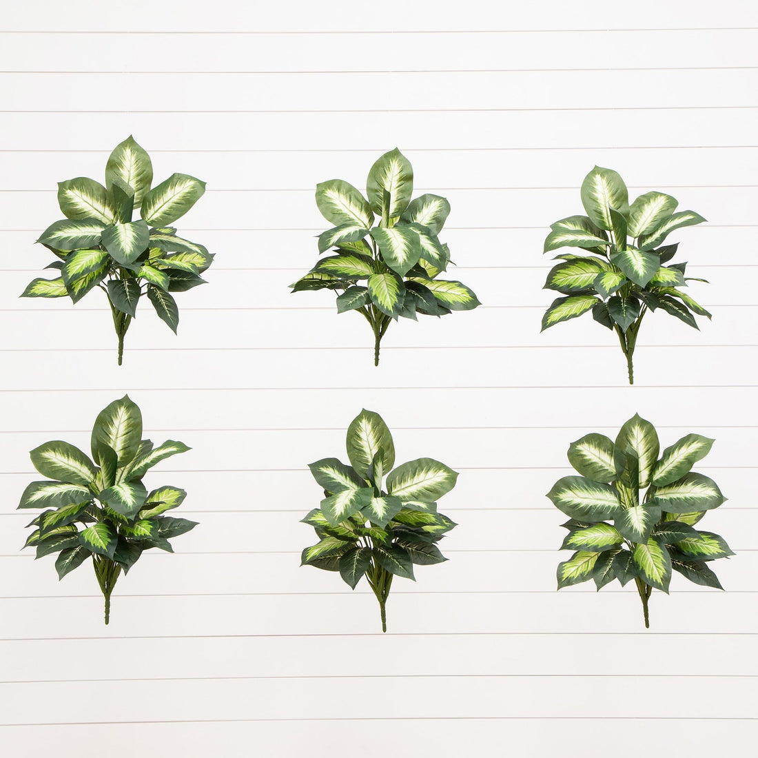 nearly natural silk golden dieffenbachia plant 20” Artificial Golden Dieffenbachia Plant - Set of 6