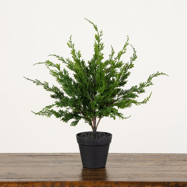 20” Artificial Real Touch Winter Mini Cypress Real Tree