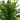 20” Artificial Real Touch Winter Mini Cypress Real Tree