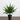 20” Artificial Real Touch Winter Mini Cypress Real Tree