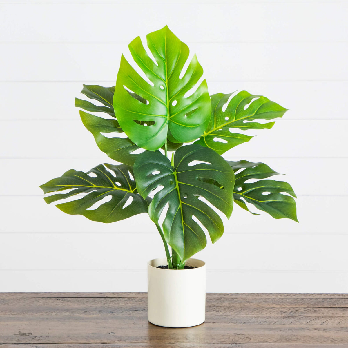Silk Monstera Plants | Artificial Monstera Plants | Nearly Natural