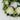 20” Protea Artificial Wreath