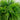 20” UV Resistant Artificial Mixed Fern Hanging Basket (Indoor/Outdoor)