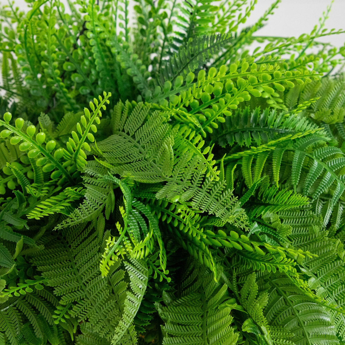 hanging fern plants outdoor 20” UV Resistant Artificial Mixed Fern Hanging Basket (Indoor/Outdoor) –  Nearly Natural